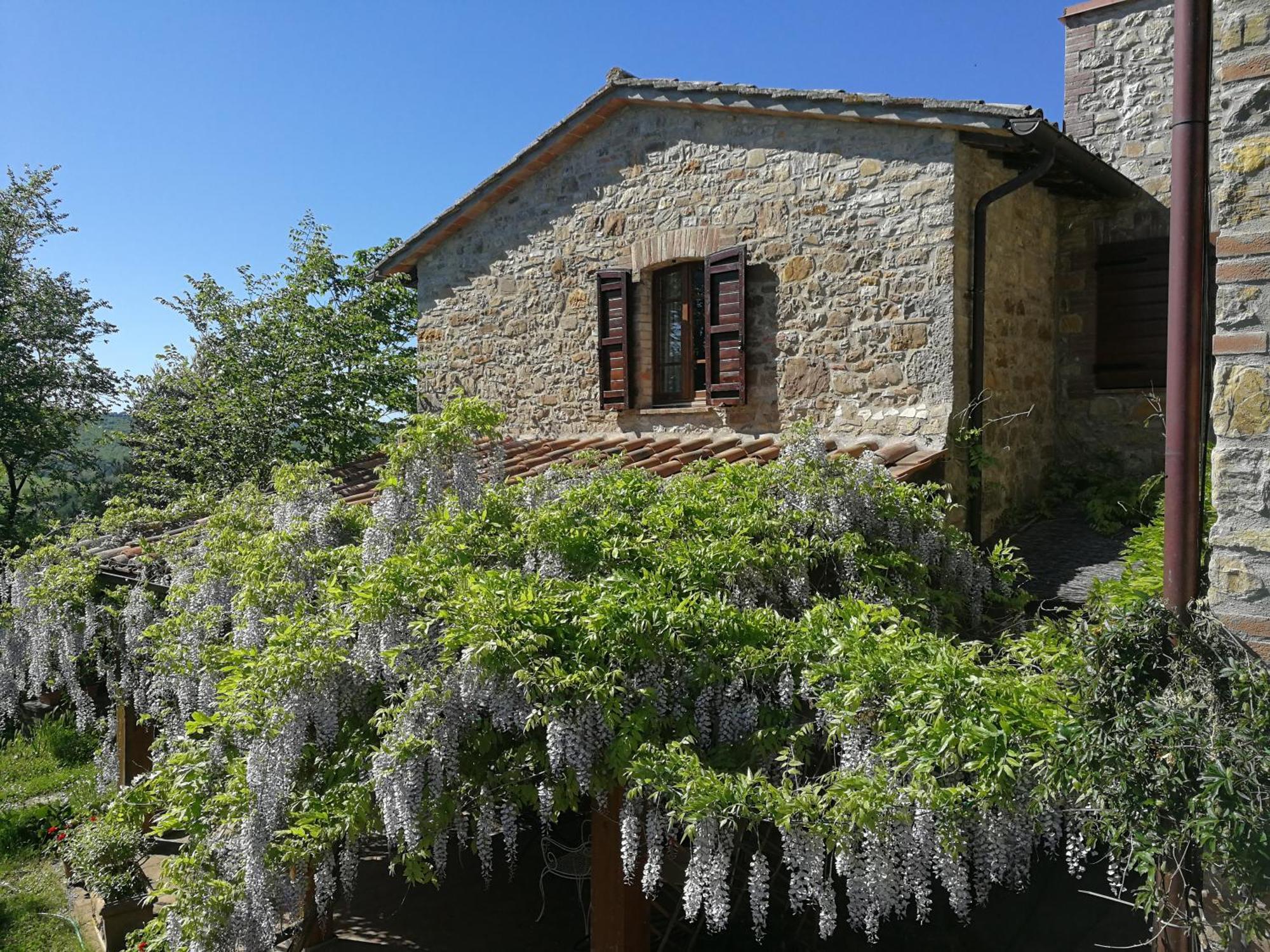 Agriturismo Casa Greppo San Venanzo Exterior foto
