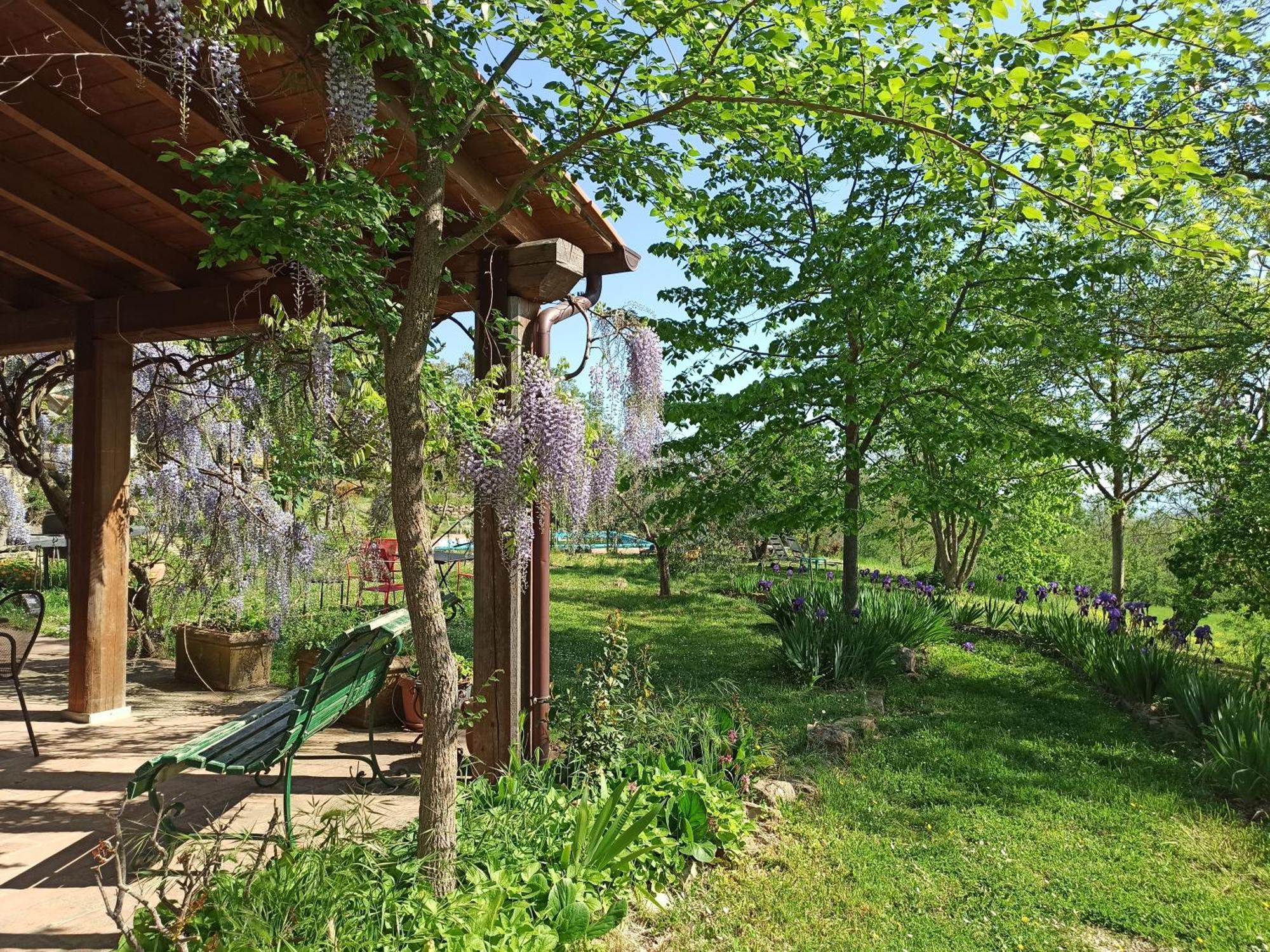 Agriturismo Casa Greppo San Venanzo Exterior foto