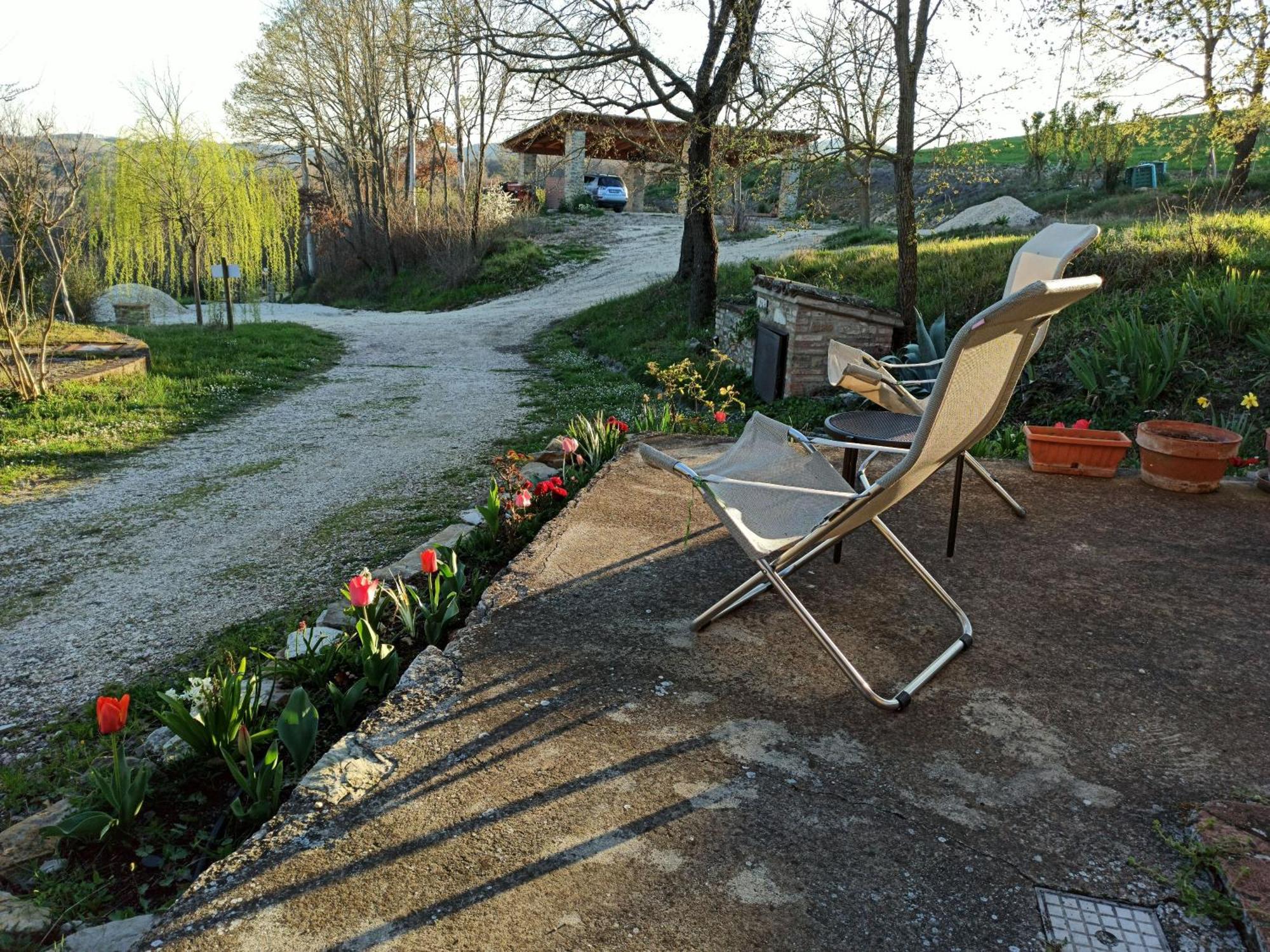 Agriturismo Casa Greppo San Venanzo Exterior foto
